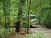 At a recent house fire, there was a beast sighted lurking in the woods.