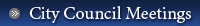 City Council Meetings